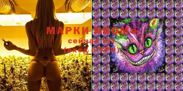 шишки Беломорск