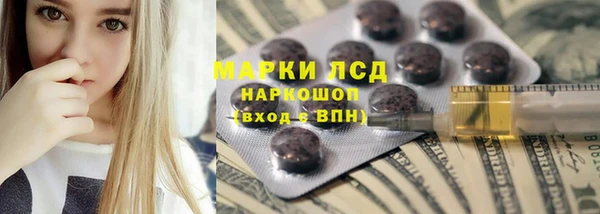 шишки Беломорск
