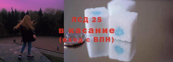 шишки Беломорск