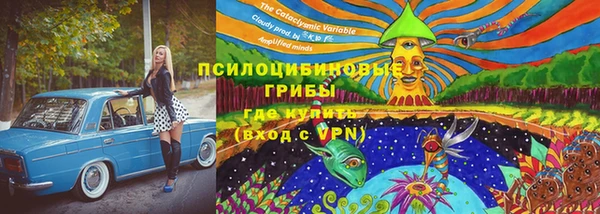 ALPHA PVP Белокуриха