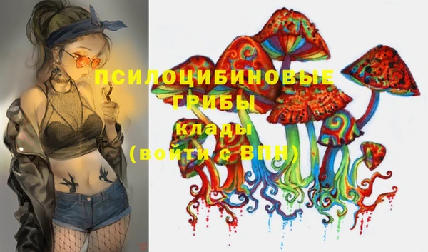 шишки Беломорск