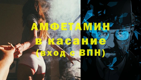 шишки Беломорск