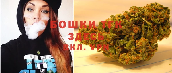 шишки Беломорск