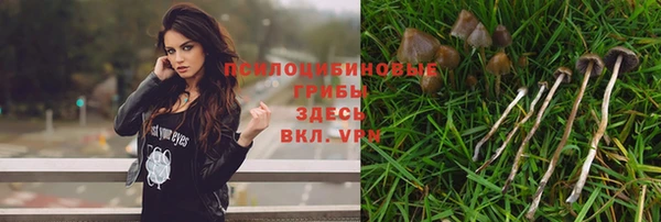 MDMA Premium VHQ Белоозёрский