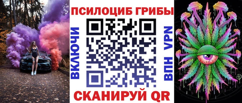где можно купить   Дальнегорск  Галлюциногенные грибы мицелий 