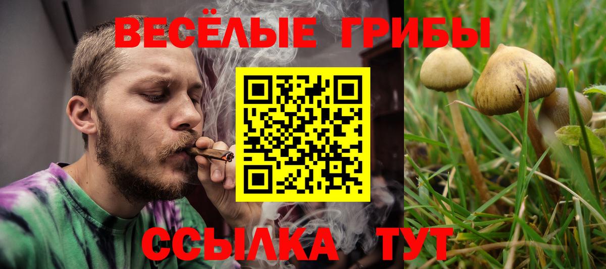 Псилоцибиновые грибы Psilocybine cubensis  Вход с VPN  Дальнегорск  Псилоцибиновые грибы Psilocybe 